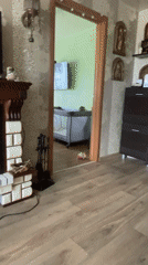 Baby in playpen observed at Chaikovsky home