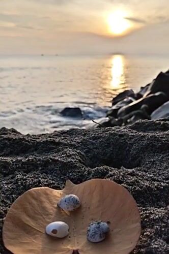 Sunset beach moments at Ujong Blang Beach, Lhokseumawe