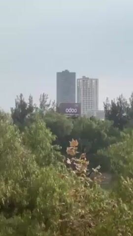 The video shows a distant view of tall buildings, partially obscured by lush green trees. The buildings appear to be modern structures, with one prominently displaying an "Odoo" advertisement. The camera pans slightly, revealing more of the surrounding trees and the urban landscape in the background. The sky is overcast, creating a muted, somewhat hazy atmosphere.