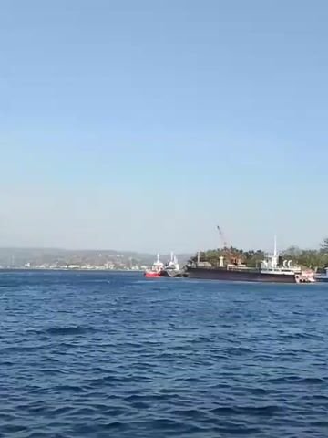 The video shows a wide body of water under a clear blue sky. In the distance, on the left side of the frame, there is a shoreline with buildings and vegetation. In the center of the frame, there are several ships. The largest ship is a dark-colored freighter or tanker, appearing to be docked or anchored. A red and white tugboat is positioned next to the larger vessel, possibly assisting it. Another smaller white vessel is also visible near the tugboat. A crane is erected on the freighter. The water is choppy with visible waves. The scene suggests a harbor or port area.