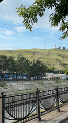 Summer afternoon: riversides, blooms, strawberries, and street art