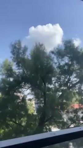 The video shows a view of the sky through a dense, green tree. The sky is a bright blue with scattered, fluffy white clouds.  There are faint contrails visible high in the sky. The branches of the tree sway gently, and in the background, glimpses of buildings can be seen.