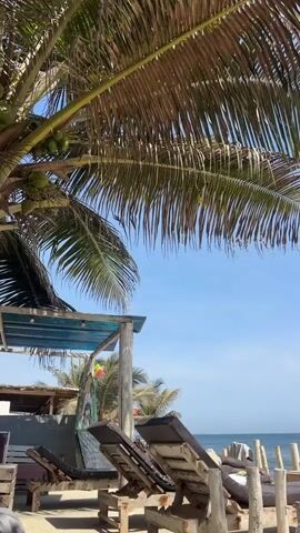 The video presents a static shot of a sunny beach scene, likely in Dakar, Senegal. A large palm tree with several green coconuts dominates the upper left side of the frame, its fronds extending across the top. Below the palm tree, a rustic wooden structure with a translucent blue roof provides shade, with wooden posts supporting it.

Leaning against one of these posts is an object, possibly a surfboard or a decorative panel, displaying vertical stripes in colors that resemble the Rastafarian flag (red, yellow, green). In front of this structure, at least three wooden lounge chairs with dark cushions are visible, arranged on what appears to be a sandy area and facing towards the ocean. The chairs have a somewhat weathered, handmade appearance.

In the background, the calm blue ocean meets the clear, bright blue sky at the horizon. The scene is bright and well-lit, indicating daytime with good weather. No people are visible, and there is no discernible activity taking place, conveying a sense of tranquility and relaxation typical of a tropical beach destination. No clear, legible text is visible in the frame.