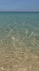 Early morning beach scene at Bac Cam Ranh Ward