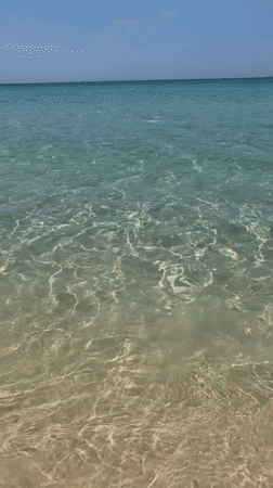 Early morning beach scene at Bac Cam Ranh Ward