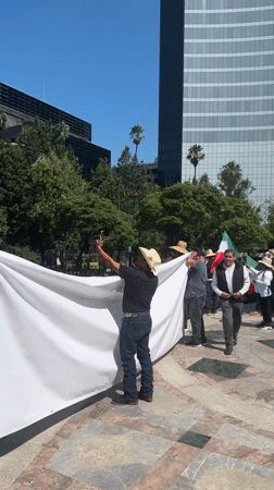 Agricultural protesters march for countryside justice in Mexico City