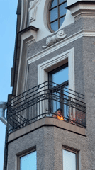 Architectural tour documented across Saint Petersburg's Gothic Revival landmarks