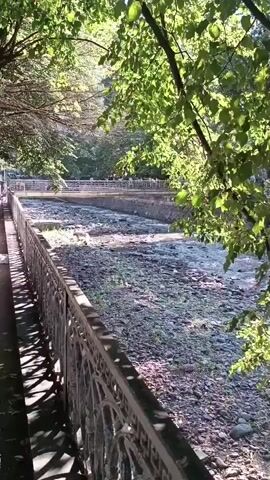 The video shows a rocky riverbed with a shallow stream of water flowing through it. The sun is shining, casting dappled shadows from the leaves of trees that overhang the river. A decorative metal fence runs along the bank of the river in the foreground. The water is clear and appears to be moving briskly over the stones. The overall impression is of a serene natural setting.