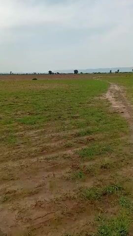 The video shows a drone shot of a rural landscape. The drone flies over a dirt path that winds through fields of green grass and tilled soil. In the distance, trees and hills can be seen under a cloudy sky. The drone moves slowly, capturing the natural beauty of the area.