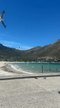 Sunny Cape Town coastal scenes captured in Hout Bay