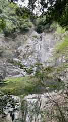 Waterfalls, wildlife, and a hillside shrine in Kobe's forest
