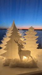 Evening sunset documented along Votkinsk Reservoir embankment, Russia