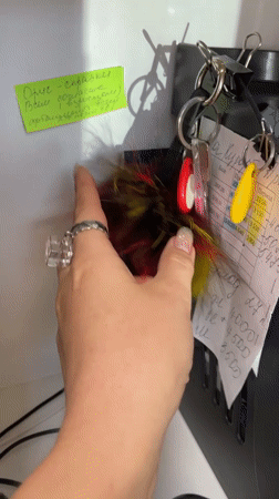 Acrylic nails and a fluffy keychain, tagged #Toys in Anapa
