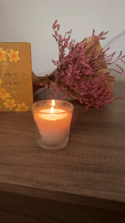 Candle, dried flowers, and a sleeping dog in Sofia