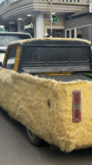 Fur-covered pickup truck spotted on Sochi street