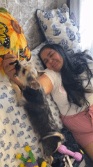 Lazy afternoon at home with a small dog in Barcelona suburbs
