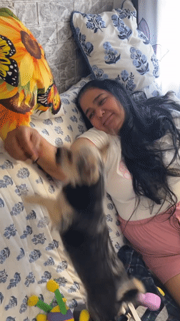 Lazy afternoon at home with a small dog in Barcelona suburbs