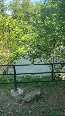 A river flows from left to right behind a black metal fence. Lush green trees and foliage line the riverbank. To the right of the frame, a man sits at a picnic table with his back to the camera, facing the river. He is wearing a blue shirt and appears to be drinking from a cup. Another picnic table with chairs is visible to his left. The ground in the foreground is covered with grass, dirt, and rocks. Sunlight filters through the leaves of the trees, creating dappled shadows.