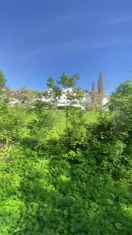 The video shows a large white building with many windows and a green lawn in front. The building is partially obscured by green bushes and trees. The sky is blue and clear. The camera pans from right to left, showing the building and surrounding landscape. The camera also passes through some foliage.