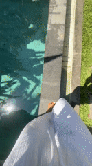 Lazy poolside afternoon at an Ubud villa