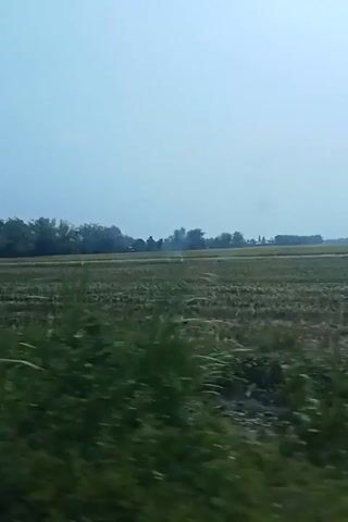 The video shows a rural landscape with a field that appears to have been recently harvested. The field is mostly dry and appears to be a stubble field. There are some green plants in the foreground and trees in the background. The sky is overcast and the light is dim. The camera is moving, giving the impression of travel. There are no people or animals visible in the video.