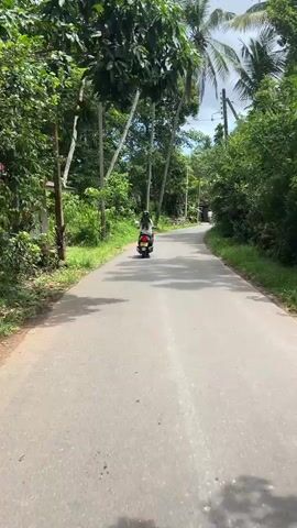 The camera follows behind a person riding a scooter down a paved road, bordered by lush green foliage, palm trees, and utility poles. A second person on a motorcycle is stopped on the side of the road, facing in the same direction as the scooter. In the distance, a small dog crosses the road in front of the scooter. The environment is a tropical-like setting, likely a rural or suburban area. The sky is partly cloudy.