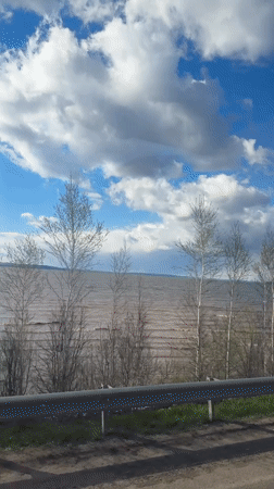 Roadside water views documented in Kryukovo, Russia