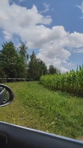 The video begins with a view from inside a car, looking out through the windshield. Lush green trees and a blue sky with some clouds are visible. A yellow sign is partially obscured by foliage. The camera then pans to show the interior of the car, focusing on the dashboard and a vent. Next, the perspective shifts to a young man sitting in the driver's seat, wearing a black t-shirt. He is holding a smartphone in front of his face, seemingly taking a selfie or recording a video. The phone has a black case with a camera lens cover. He lowers the phone and looks down at it, then briefly looks up with a slight smile. The background outside the car windows continues to show greenery and trees.