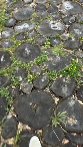 The video shows a POV perspective of walking on a path made of circular wooden stumps. The stumps are of varying sizes and are arranged closely together, with grass and some small yellow wildflowers growing in between them. The path appears to be outdoors, possibly in a park or natural setting. The lighting suggests it is daytime, and the weather appears to be mild, with no harsh sunlight or rain. The overall mood is peaceful and natural. There is no visible text in the video. The location context provided, Mekića Kula, Montenegro, indicates the general geographical area.