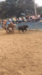 Rodeo and horse racing events draw crowds to dirt arena