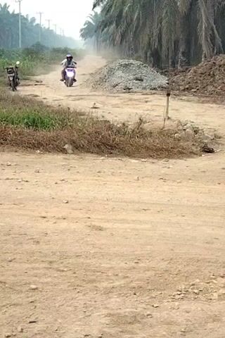 The video shows a dirt road lined with palm trees on the right side and sparse vegetation on the left. A motorcycle with two people on it is riding down the road, kicking up dust. There is a pile of gravel and a pile of dirt on the side of the road. Another motorcycle is parked on the left side of the road. The sky is overcast.