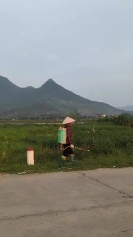 The video shows a person wearing a conical hat and a plaid shirt, carrying a green backpack sprayer and a spray wand. The person is walking through a grassy field, appearing to spray something onto the vegetation. In the background, there are mountains and trees. The sky is overcast. A concrete road is visible in the foreground, with a white and red marker post on the left side.