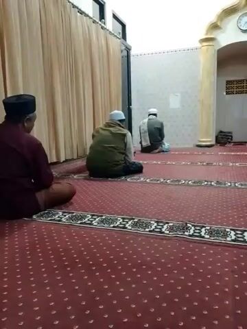 The video shows a group of men sitting on a red carpeted floor in what appears to be a mosque. The carpet has a patterned border. In the background, there is a wall with a patterned design and an arched alcove with columns. A clock is visible on the wall above the alcove. There are also curtains and doors visible in the background. The men are all facing in the same direction, towards the alcove, and appear to be engaged in prayer or meditation. One man in the foreground is partially visible, and three other men are seated further back. The lighting is dim.