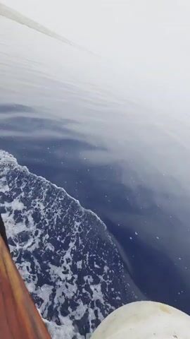 The video begins with a view from the side of a boat, showing the dark blue water and white foam of the wake. The camera pans slightly to the right, revealing a hazy horizon where the water meets the sky. In the distance, a faint, light-colored outline of land can be seen through the mist. The sky is overcast and white, with some subtle cloud formations. The overall impression is one of a calm, perhaps foggy, day at sea.