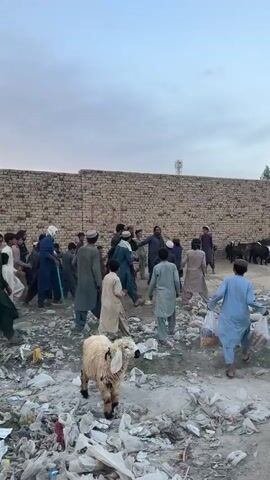 The video shows a crowded scene with many men and boys walking in a littered area. Most of the people are wearing traditional clothing, including long tunics and headwear. A light-colored sheep stands in the foreground amidst the litter, which consists largely of plastic bags and other refuse. In the background, there is a long brick wall and a telecommunications tower visible above it. The sky is overcast, suggesting the time of day is either early morning or late afternoon. The overall environment appears disorganized and somewhat impoverished.