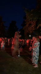 T-Rex costume draws a crowd at a night gathering in Buk