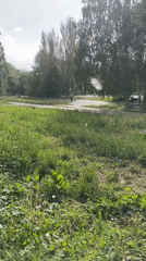 Park scene documented in Ufa, Russia
