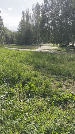 Park scene documented in Ufa, Russia