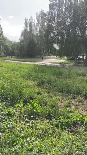 Park scene documented in Ufa, Russia
