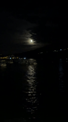 Evening scenes captured in Đenovići: moonlit harbor, pink roses