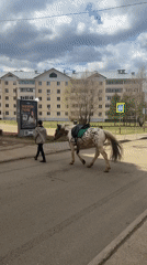 Ordinary morning moments captured across Chaikovsky, Russia