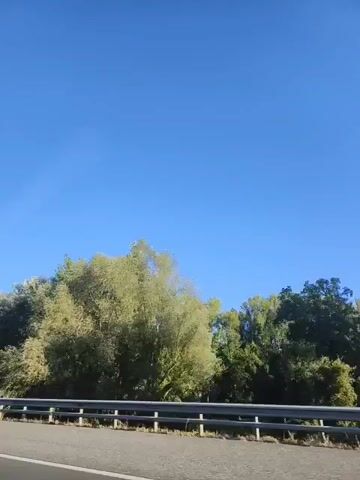The video captures a view from a moving vehicle, likely on a highway, on a clear day. The foreground shows a paved road with white lane markings. A metal guardrail runs along the side of the road, separating it from a densely wooded area. The trees are lush and green, with some appearing to be deciduous, showing signs of early autumn foliage. In the distance, a tall structure with red and white markings is visible, possibly a radio tower or similar utility pole. The sky is a vibrant, cloudless blue. There are no people or other vehicles clearly visible in the frame.