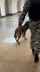 Camouflaged individual spotted in Moscow Metro station
