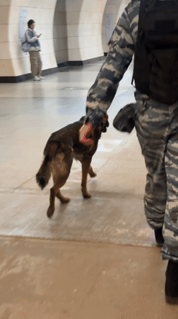Camouflaged individual spotted in Moscow Metro station