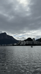 Moorhens and lagoon views observed in Rio de Janeiro