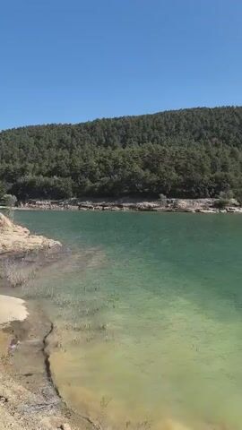 The video shows a wide shot of a body of water, likely a lake or reservoir. The water is a vibrant turquoise in the center and transitions to a pale green or yellow near the shore, which is rocky and sparsely vegetated. In the background, a dense forest covers a gently sloping hillside that rises to meet a clear, bright blue sky. The sun is shining brightly, casting reflections on the water's surface. There are no people or visible structures in the scene. The camera pans slowly across the landscape, offering a serene and natural view.