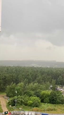 The video displays a wide shot of a forest scene under a cloudy sky. The clouds are dense and gray, suggesting overcast weather or the possibility of rain. A dense forest of green trees dominates the middle ground, with a variety of deciduous and coniferous trees visible. In the foreground, there are patches of grass and some man-made structures, including what appears to be a concrete path or foundation on the left side, and fence posts with wires. On the right side of the frame, a tall, multi-story building with a modern design is visible, featuring multiple windows and a brown facade. Beyond the forest, a hazy, distant landscape with structures or buildings can be seen on the horizon, obscured by atmospheric conditions. A parking lot with several cars is visible to the right of the forest. The overall impression is of a semi-urban or suburban environment adjacent to a natural forested area, captured during a period of heavy cloud cover. There are no people or animals visibly present in the frame. The lighting is dim and diffused due to the overcast sky.