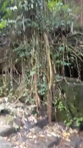 The video shows a low-angle view of a dense, overgrown jungle environment. The foreground is dominated by a steep, rocky incline covered in thick green foliage. Numerous hanging vines and aerial roots descend from unseen branches above, creating a curtain-like effect. The lighting suggests an overcast day or the deep shade of a forest canopy, with diffuse light illuminating the scene. The texture of the vines ranges from thin and stringy to thicker and more rope-like. The overall impression is one of a wild and untamed natural setting.