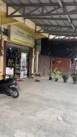 A wide shot of a street-level store. The store has a yellow awning and shelves stocked with various items. In front of the store, a motorcycle is parked to the left. To the right of the store, a wooden bench sits in front of a closed metal roll-up door. A cat is lying on the ground in front of the bench, looking towards the camera. Several potted plants are also visible to the right of the bench. The ground is paved with concrete. The overall lighting suggests it is daytime, possibly late afternoon, with some shadows cast.