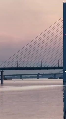 This is a vertical, handheld video taken from a body of water, likely a river or bay, during either dawn or dusk. The sky is a pale pink and purple hue. In the background, a large, modern cable-stayed bridge dominates the scene, with two tall white towers supporting numerous cables that stretch across the water. The bridge's reflection is visible on the calm water's surface. To the left of the main bridge, a second, older-looking bridge can be seen further in the distance. There are a few small boats and buoys scattered on the water. In the foreground, a white metal pole, likely a mast from a boat, is positioned vertically and slightly off-center to the right. Cables are attached to the pole and extend downwards, with a small pulley mechanism visible near the top of the pole. The camera is slightly shaky, suggesting it's being held by someone on a moving vessel. The overall atmosphere is peaceful and serene, with the muted colors of the sky and water creating a soft, ambient light.
